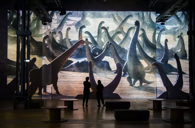 dinosaures projection silhouettes