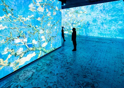 Culturespaces - Musées, Monuments, Sites historiques - Paris